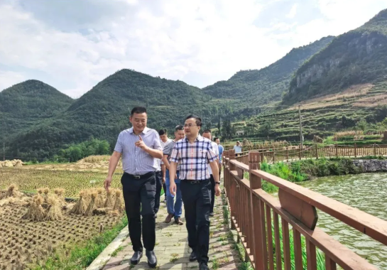 畢節(jié)工業(yè)職業(yè)技術(shù)學(xué)院黨委書記李涌、院長邱國援率隊到鄉(xiāng)村振興駐村聯(lián)系工作點調(diào)研