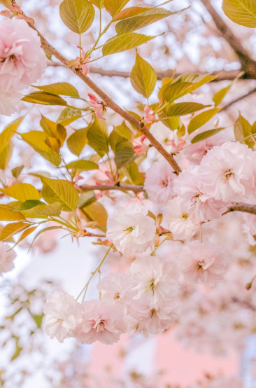 這一陣春風(fēng)，讓工職院學(xué)子為之心動